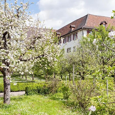 Kloster Dornach / Basel Buitenkant foto