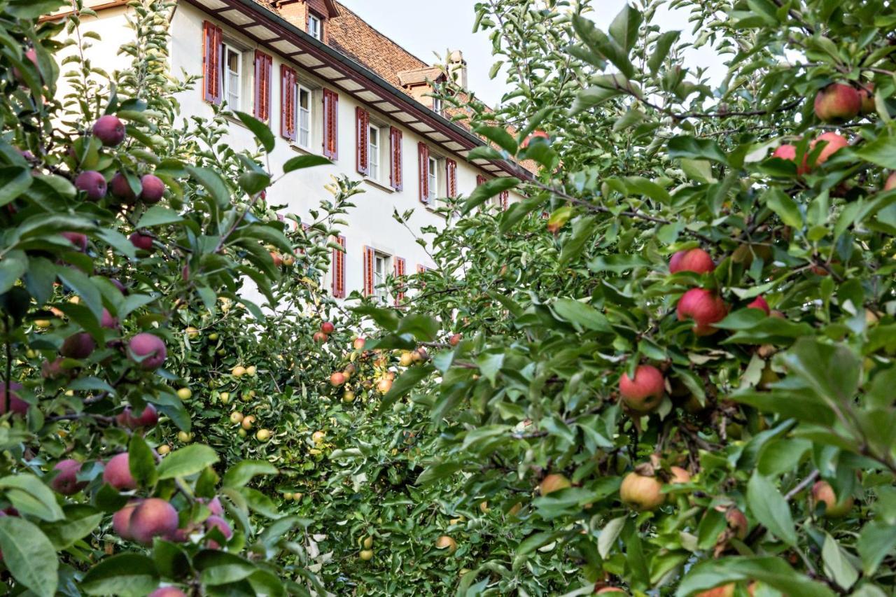 Kloster Dornach / Basel Buitenkant foto
